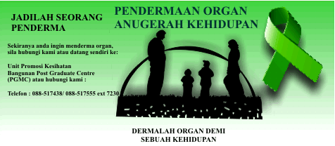 Organ derma Derma Organ: